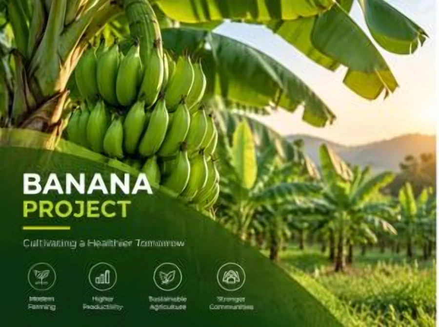 Banana Project