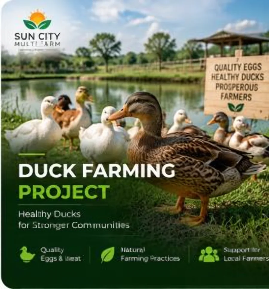 Duck Farming Project