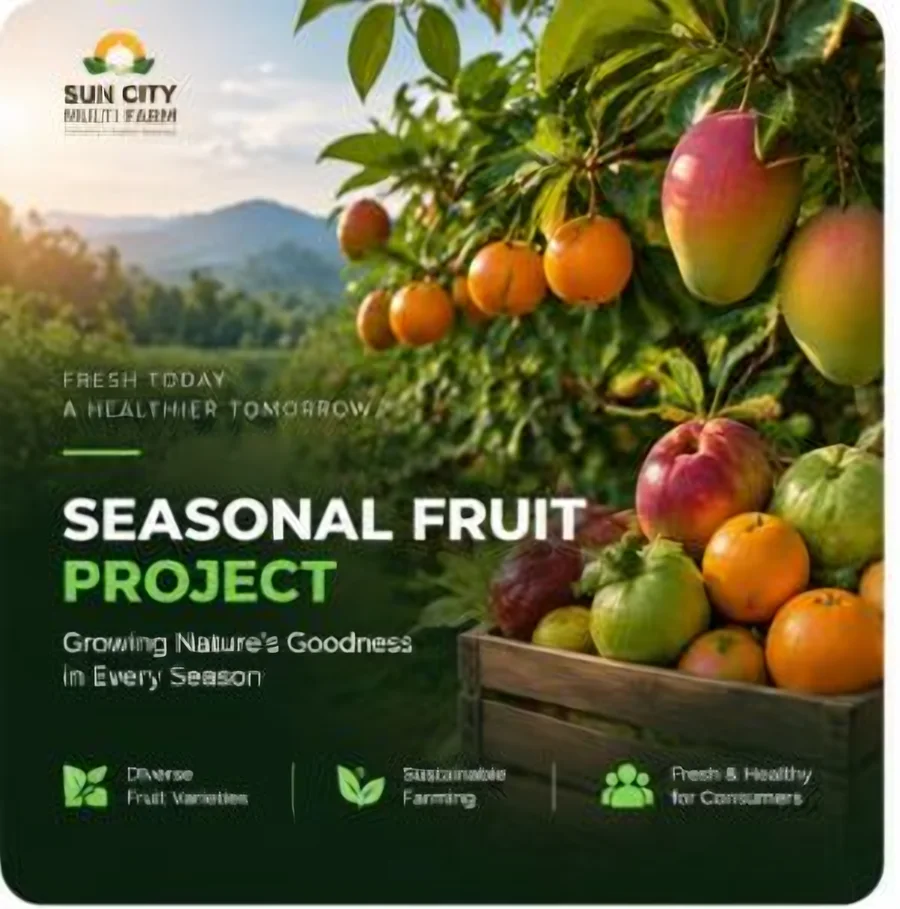 Seasonal Fruit Project