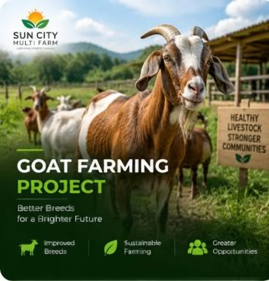 Goat Farming Project